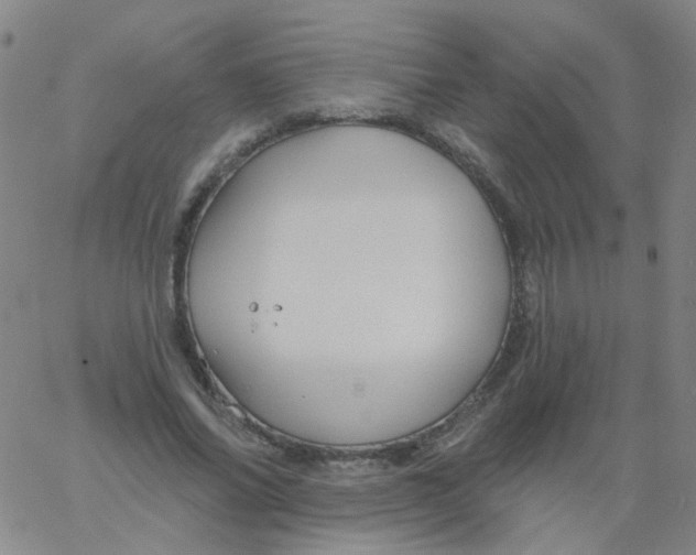 X0000061750686200512231526