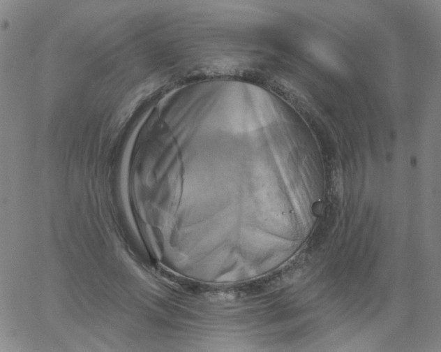 X0000061750687200512231526