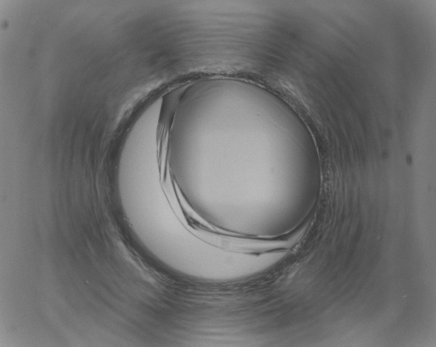 X0000061750688200512231526