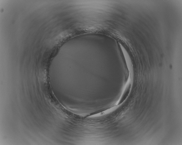 X0000061750689200512231526