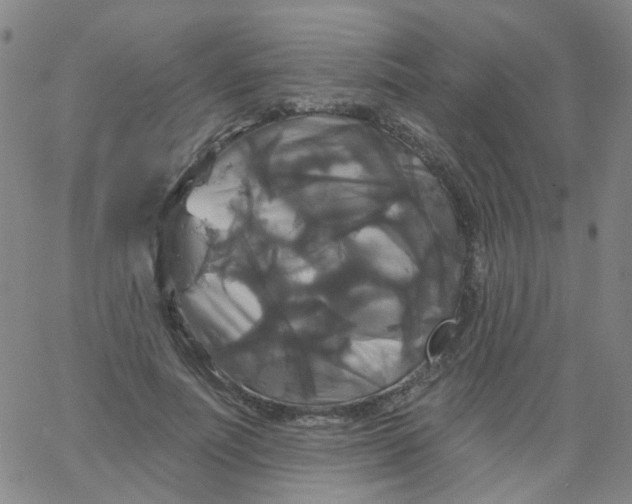 X0000061750691200512231526