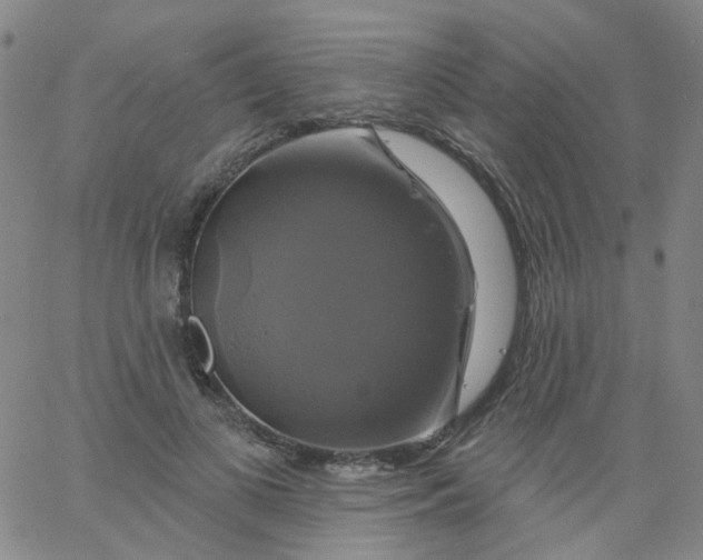 X0000061750693200512231526