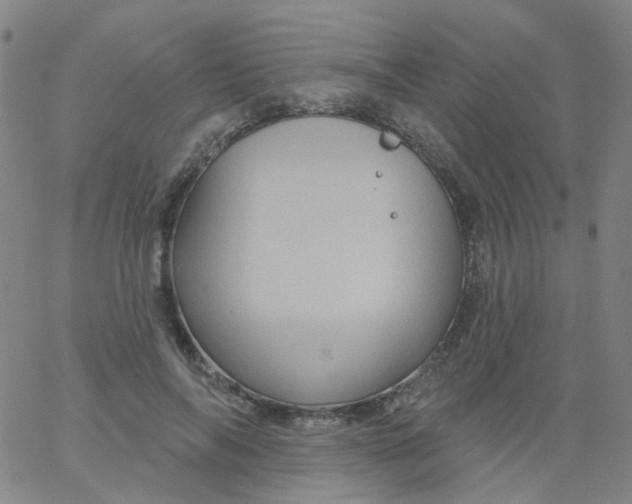 X0000061750694200512231526