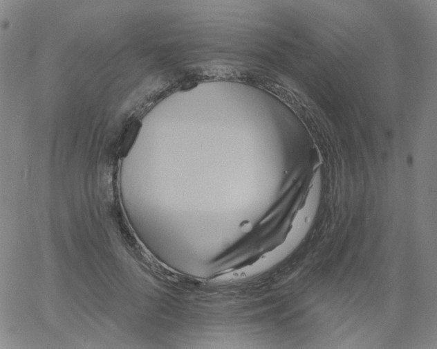 X0000061750696200512231526