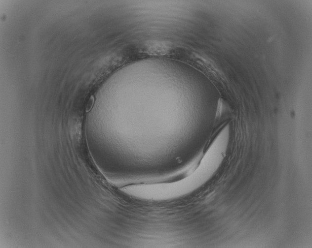 X0000061750697200512231526