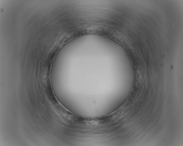 X0000061750698200512231526