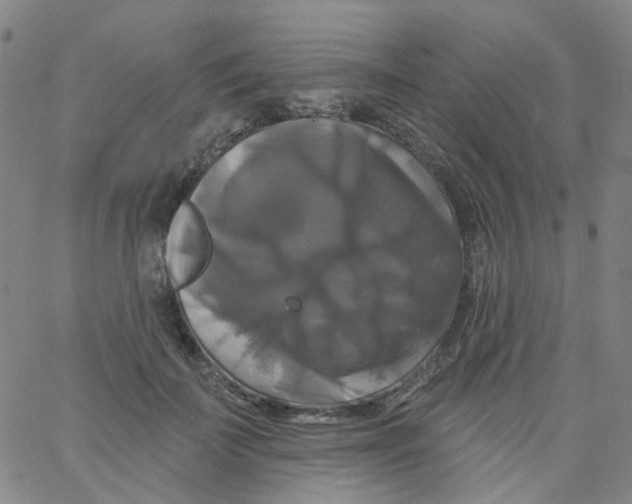 X0000061750699200512231526