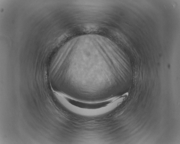 X0000061750700200512231526