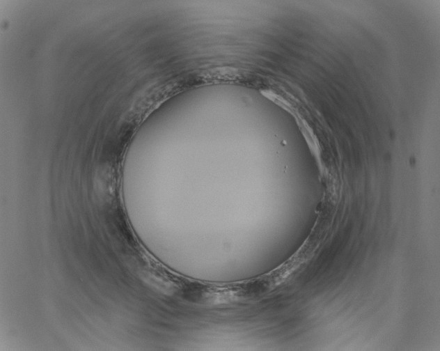 X0000061750701200512231526