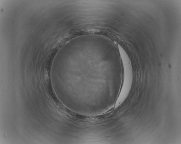 X0000061750704200512231526