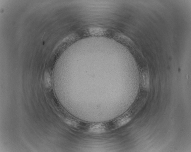 X0000061750705200512231526