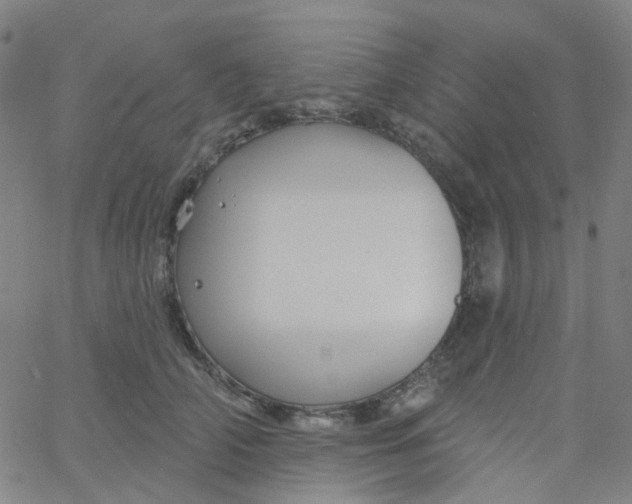 X0000061750706200512231526