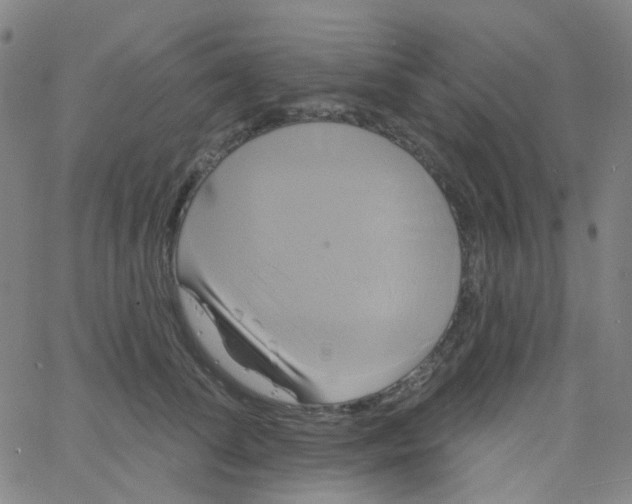 X0000061750708200512231526