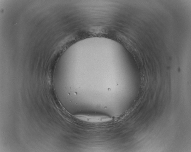 X0000061750710200512231526