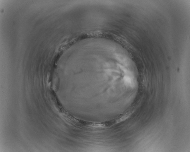 X0000061750711200512231526