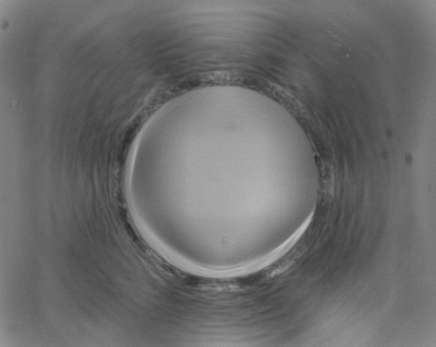 X0000061750712200512231526