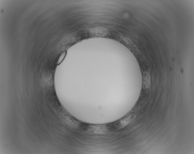 X0000061750713200512231526