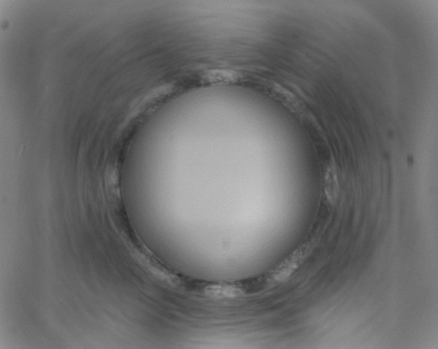 X0000061750714200512231525