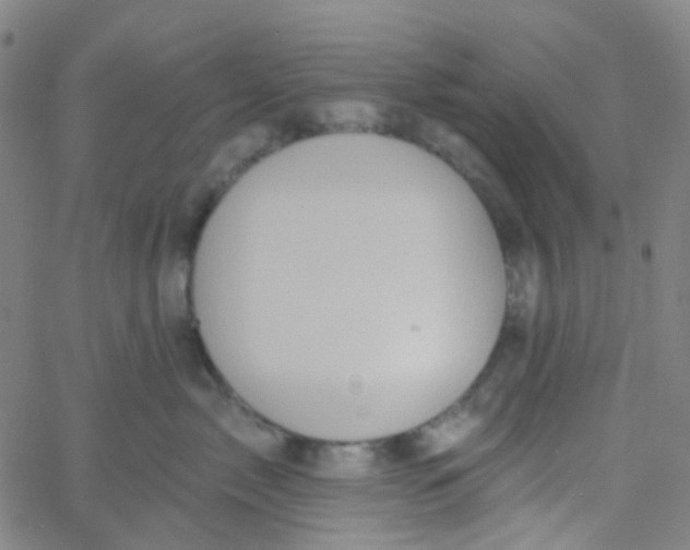 X0000061750717200512231525