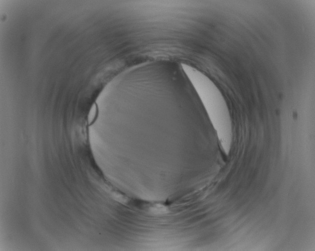 X0000061750718200512231525