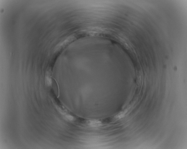 X0000061750719200512231525