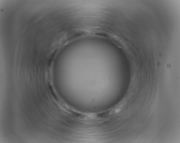 X0000061750720200512231525