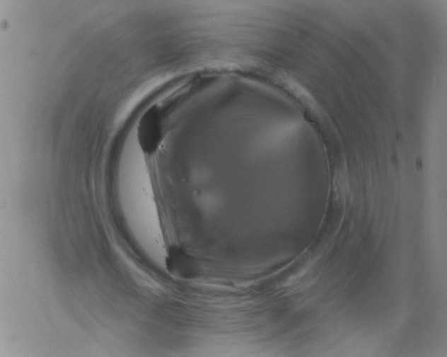 X0000061750722200512231525