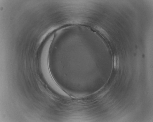 X0000061750723200512231525