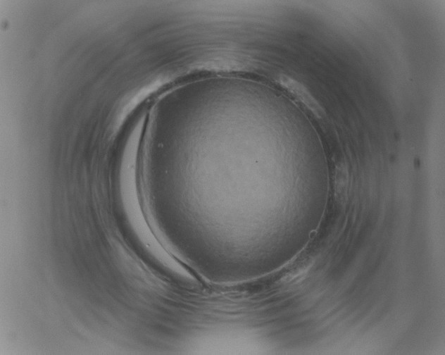 X0000061750727200512231525