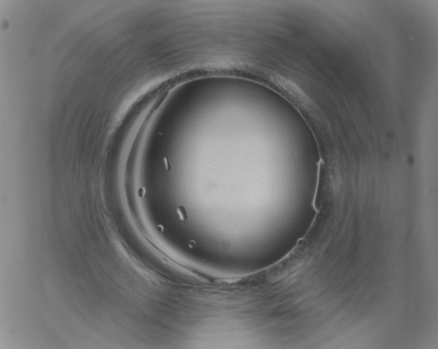 X0000061750728200512231525