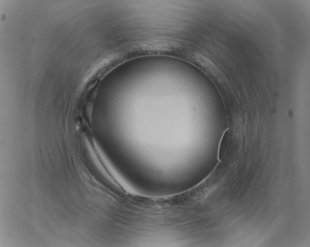 X0000061750731200512231525