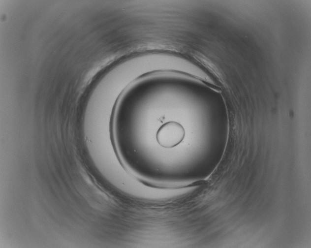 X0000061750732200512231525