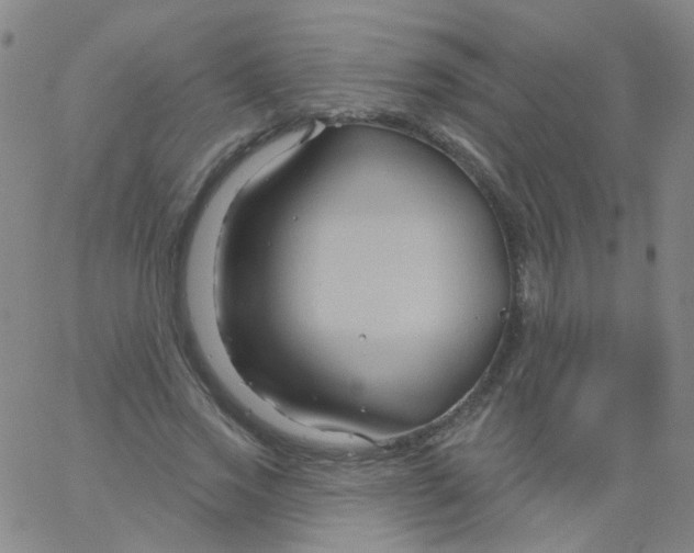 X0000061750733200512231525