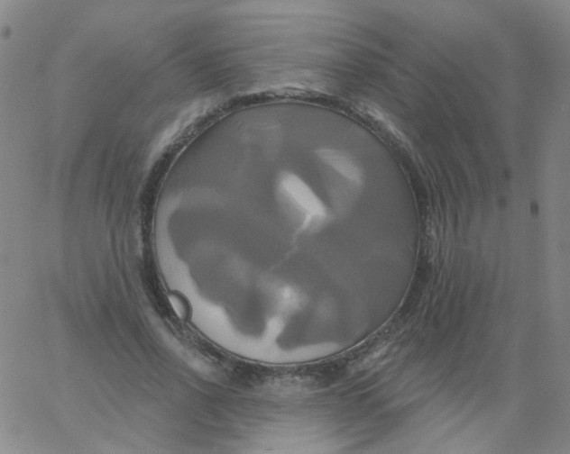 X0000061750734200512231525