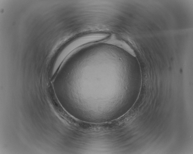 X0000061750736200512231525