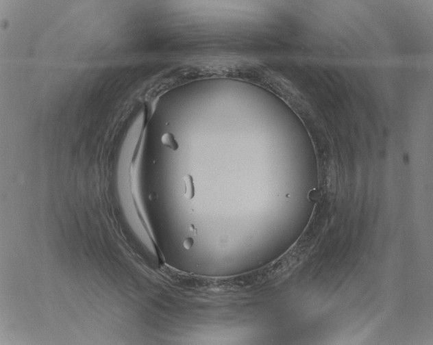 X0000061750737200512231525