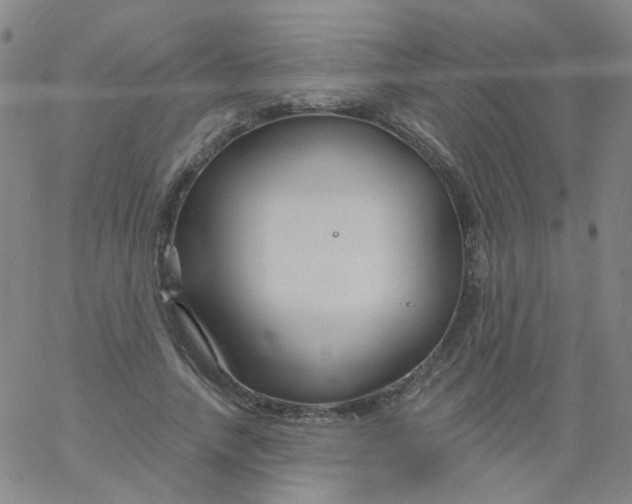 X0000061750738200512231525