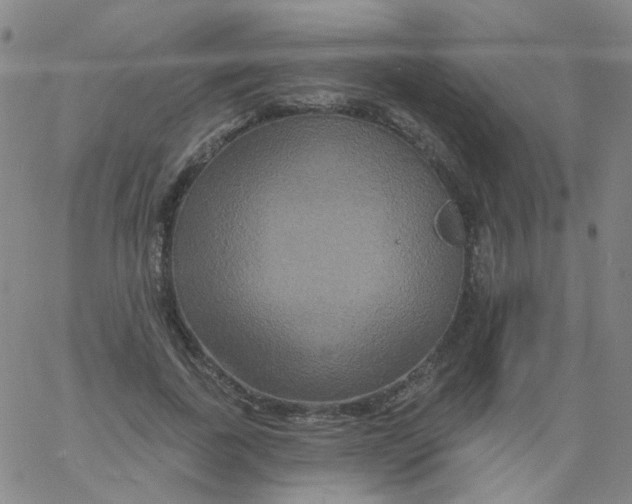 X0000061750739200512231525