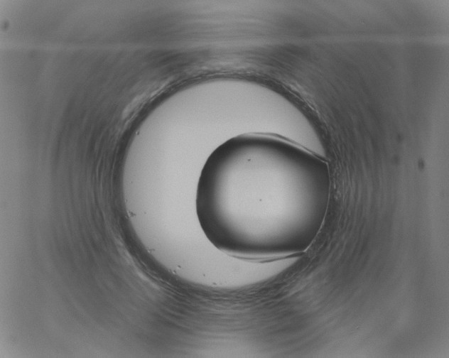 X0000061750740200512231525