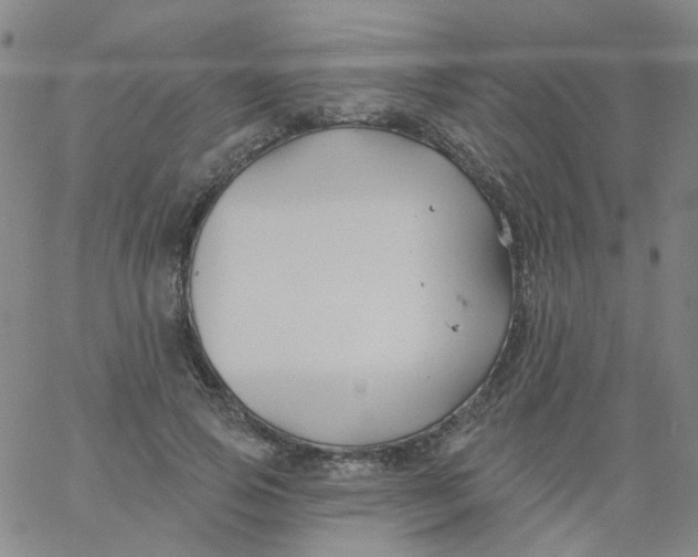 X0000061750741200512231525