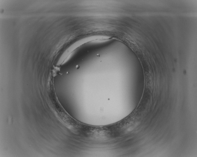 X0000061750742200512231525