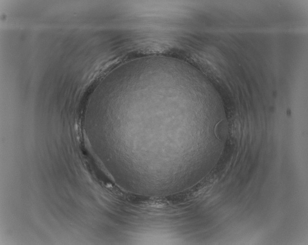 X0000061750743200512231525