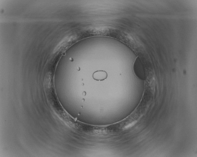 X0000061750744200512231525