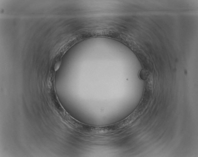 X0000061750746200512231525