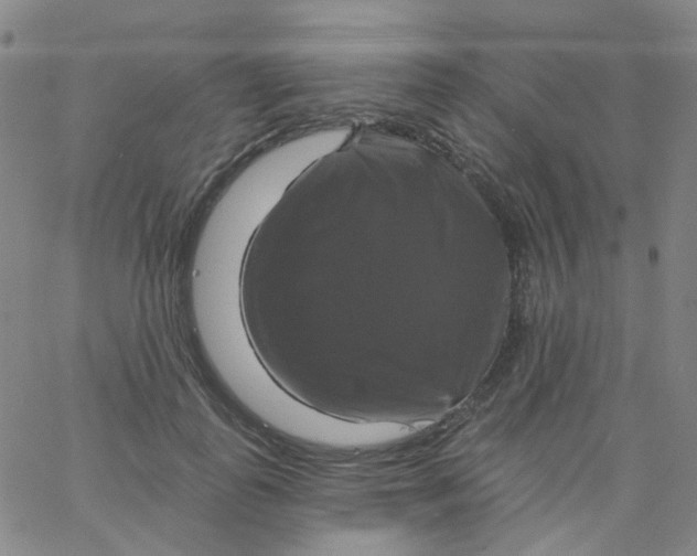 X0000061750747200512231525