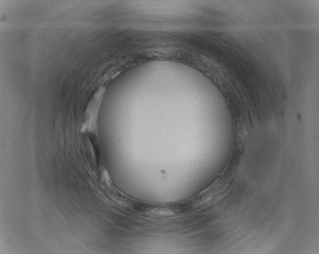 X0000061750749200512231525