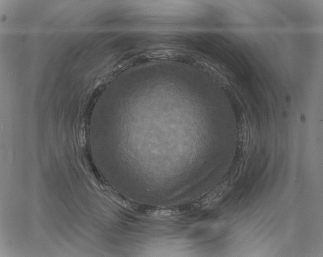 X0000061750751200512231525