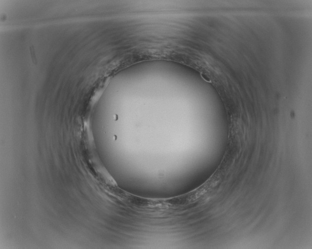 X0000061750752200512231525