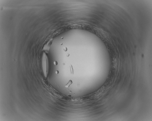 X0000061750753200512231525