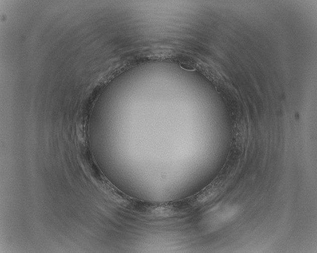 X0000061750755200512231525